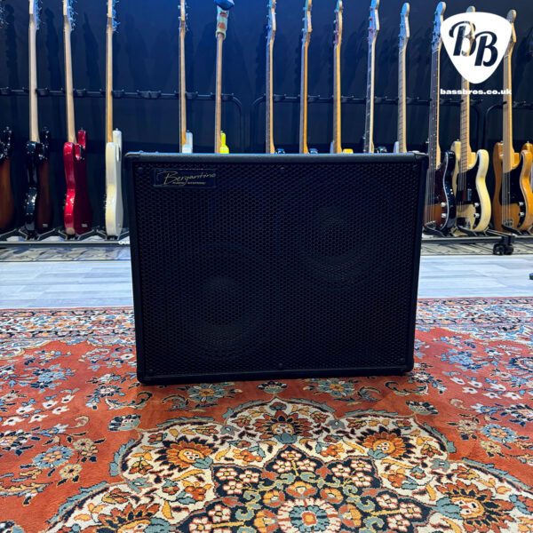Bergantino HD210 + Cover